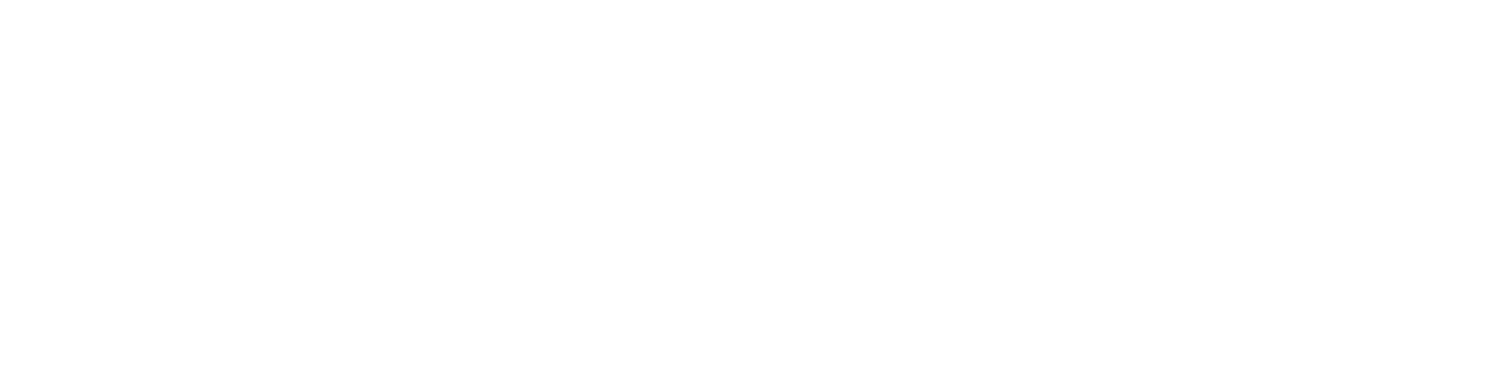 ActiveNet logo